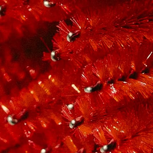 3X 90 Min The Deep Renewal at Corrective Myo-Therapeutics in Winder, GA